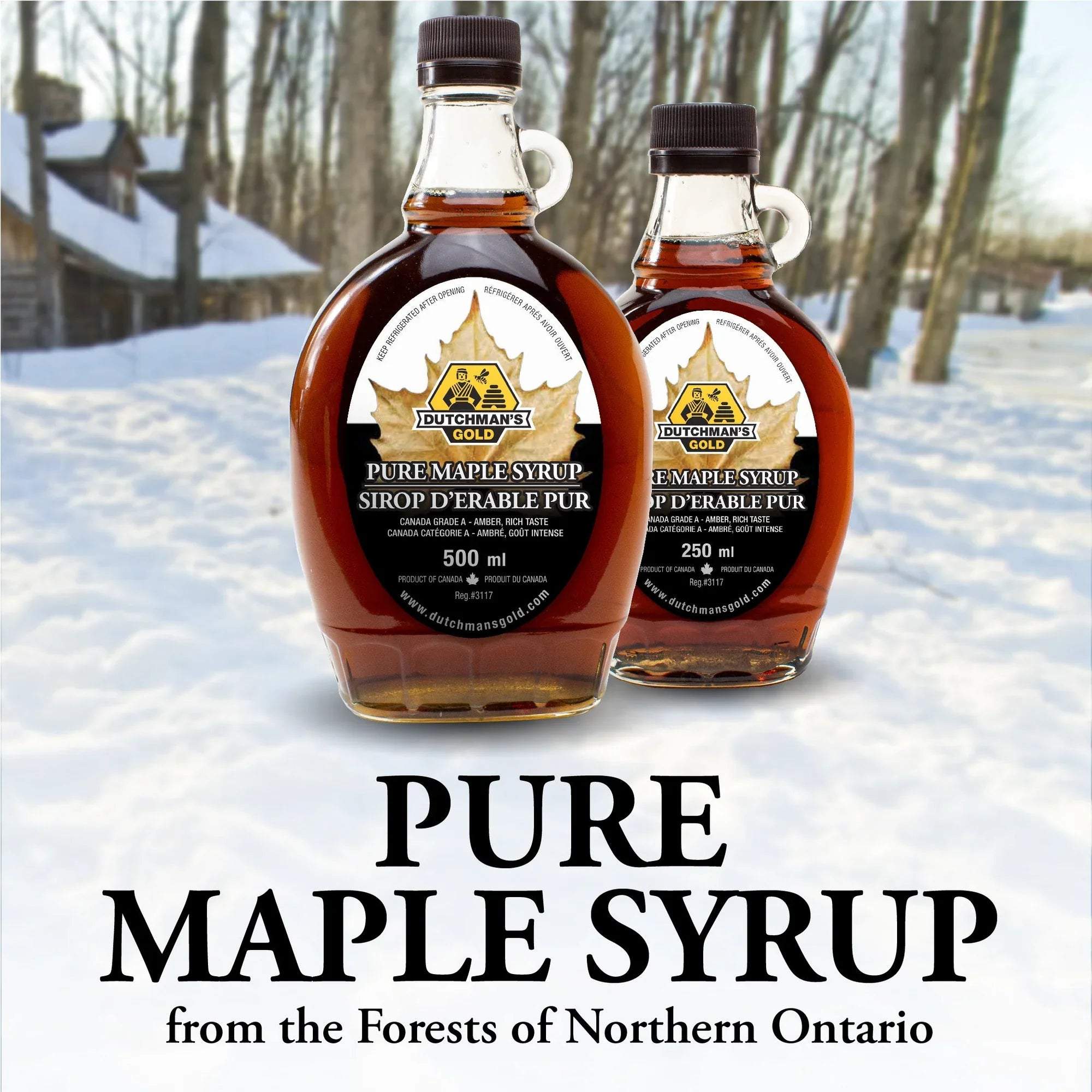 Pure Canadian maple syrup bottle with golden amber color from natural maple forests