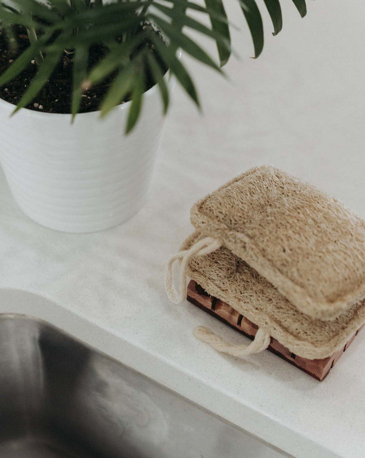 3 Pack Natural Loofah Sponge