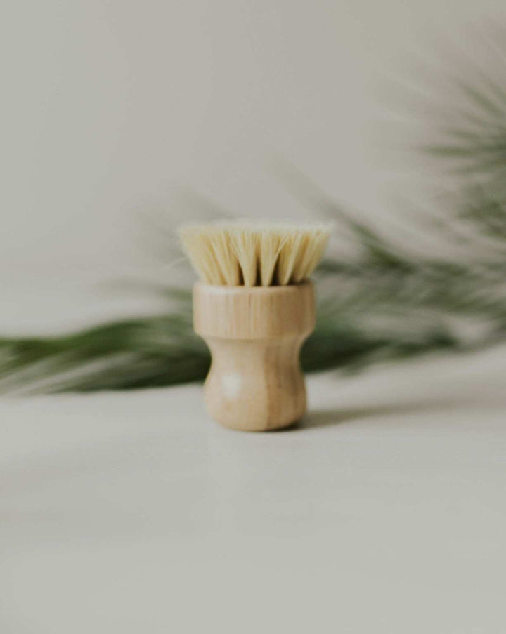 Bamboo Pot Brush